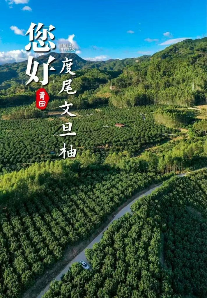莆田-度尾文旦柚