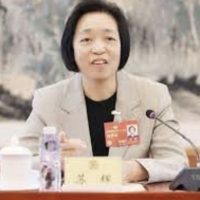 苏辉-戴龙成
